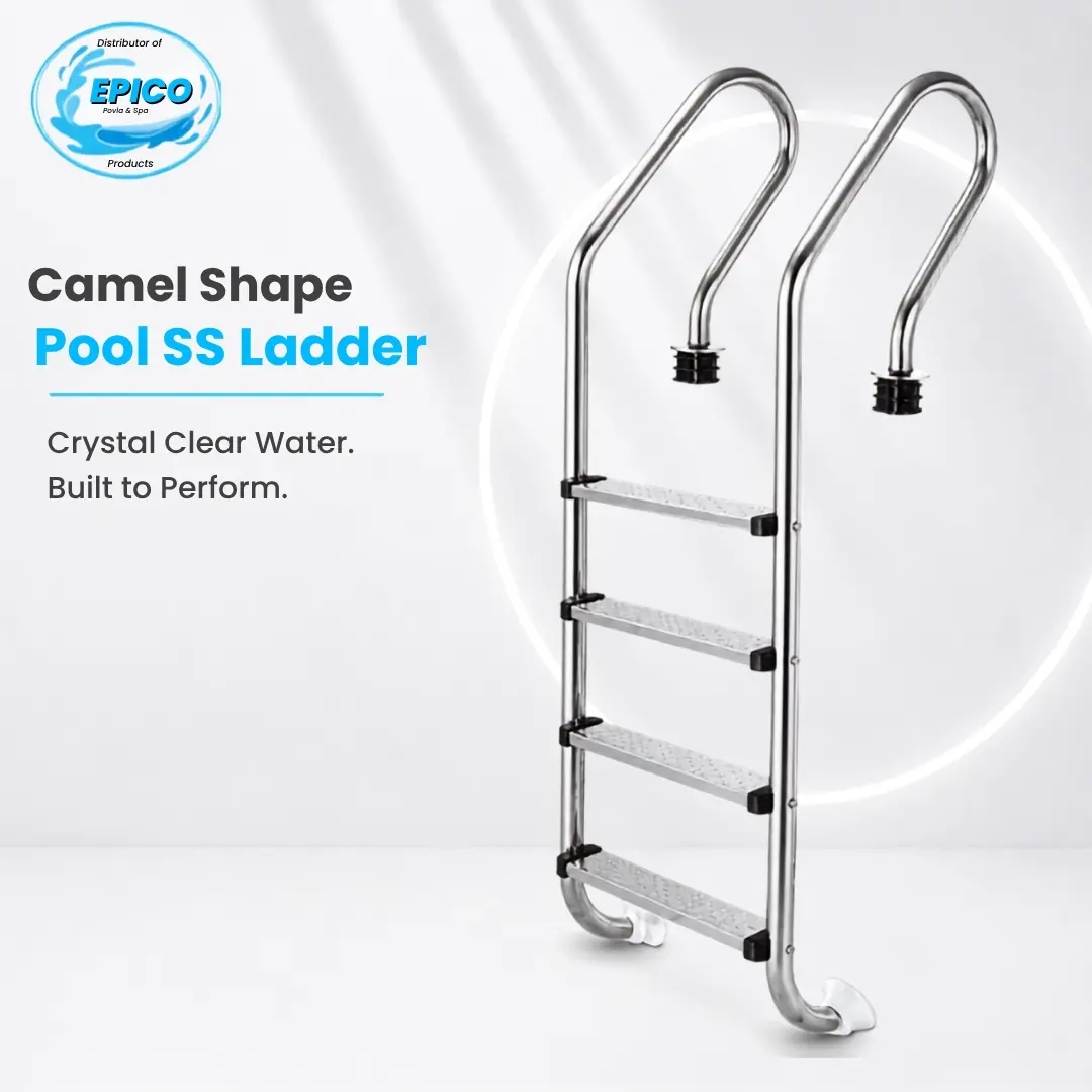 Pool Camel Shape SS Ladder