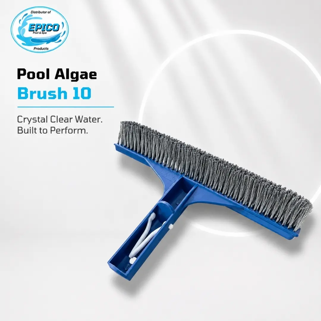 Pool Algae Brush 10